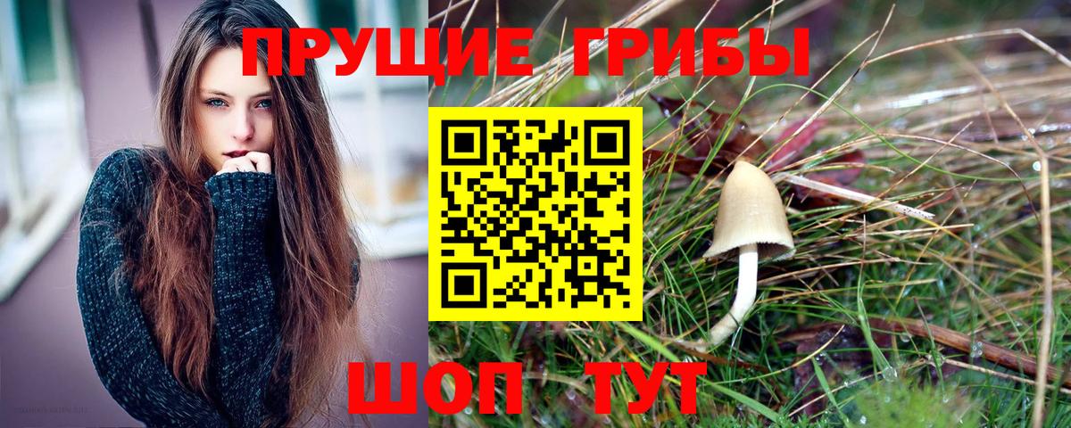 Псилоцибиновые грибы мухоморы  Вход с VPN  цена наркотик  Анжеро-Судженск  Псилоцибиновые грибы Magic Shrooms 