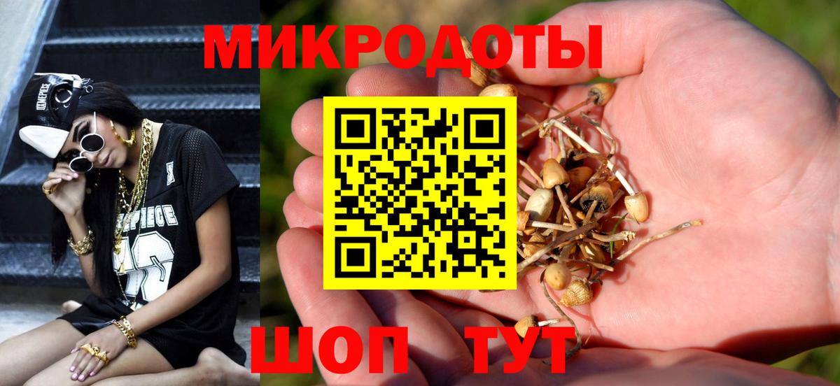 Галлюциногенные грибы Psilocybe Анжеро-Судженск